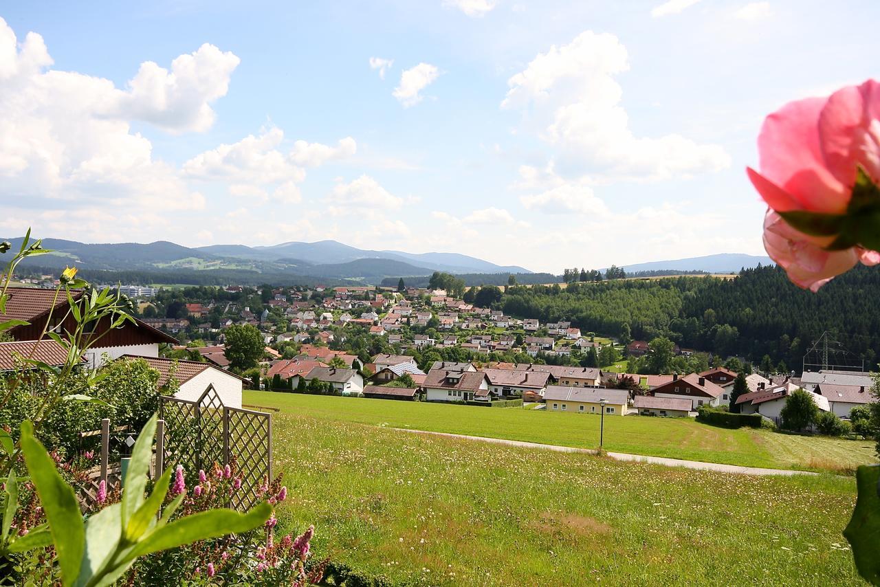 Ferienhaus Und Ferienwohnungen Holzapfel Geiersthal Exterior foto